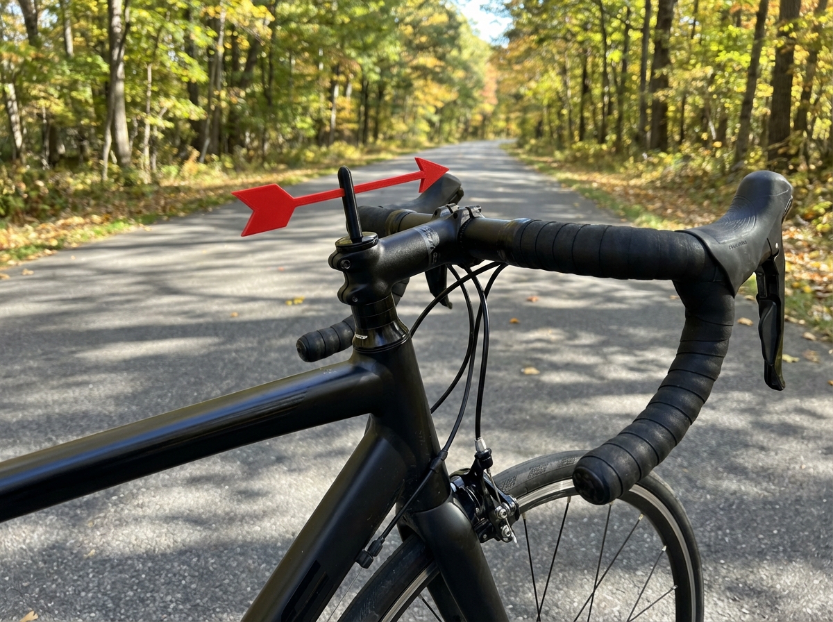 Wind vane, autumn road